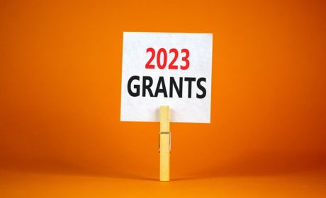 Which Private Foundations Give Grant Money For Animal Research?