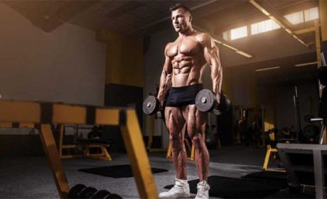 Maximize Muscle Gains: Key Benefits of Steroids for Sale in the UK