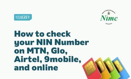 Essential Guide To Check Nin Number: Everything You Need To Know