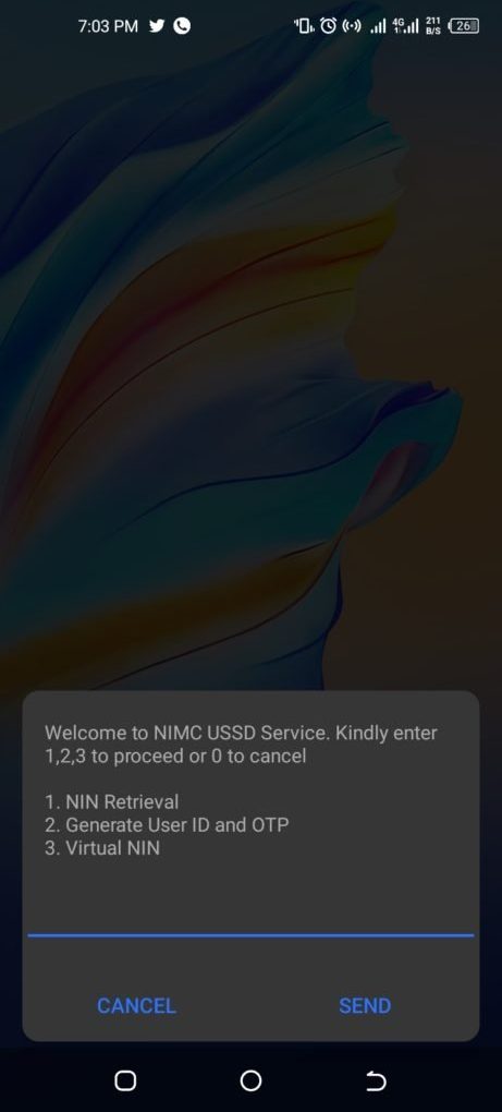 Effortless Ways To Verify A Nin Number Online & Stay Secure