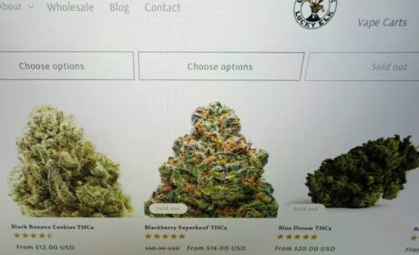 What does thca legal status signal for hemp business planning?