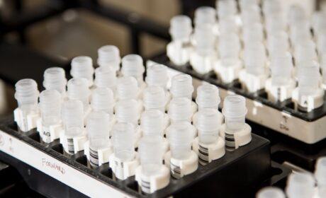 CJC-1295: Understanding the Research, Potential Uses, and Safety Considerations