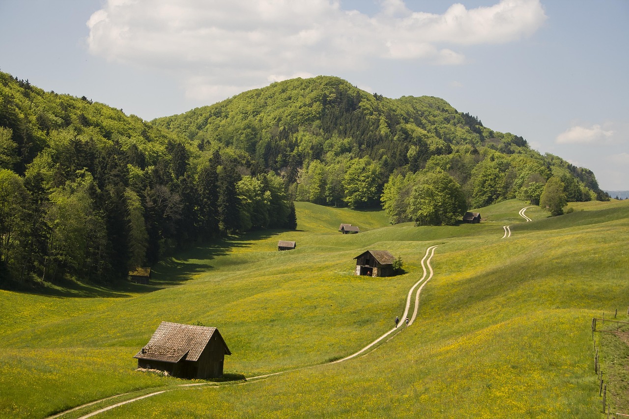 Nature, hike, switzerland — Is School Best For You?